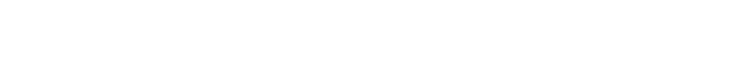 baron_logo_white